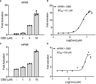 Cannabidiol promotes intestinal cholesterol uptake mediated by Pregnane X receptor